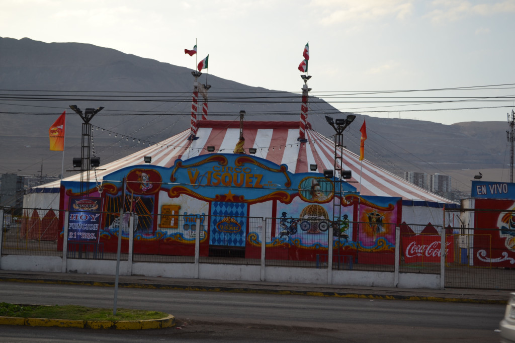 circo dia