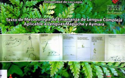 Texto de metodologia de enseñanza de lengua compleja, aplicable a lengua mapuche y aymara