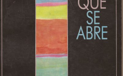 Regimen militar y situacion de salud: el rol de los ONG y de la cooperacion internacional