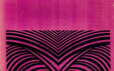Para qué sirve la noción de «estructura».  Ensayo sobre la significación de la noción de estructura en las ciencias humanas