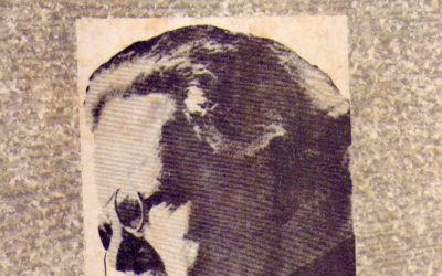 Ortodoxia
