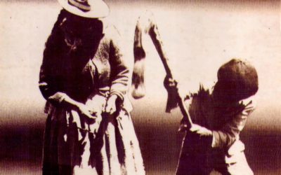Tecnología y campesinado en el Perú