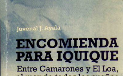 Encomienda para Iquique