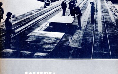 Salitre: Reencuentro, añoranza, realidad