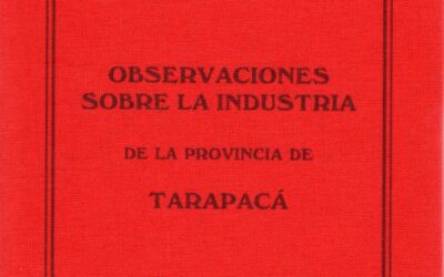 Observaciones sobre la industria