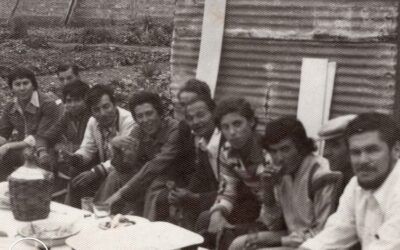 Gente 804