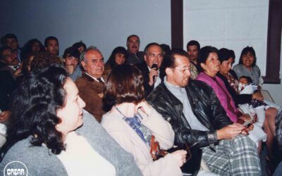 Cultura 26