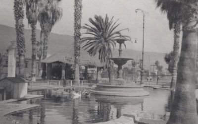 Plazas 13
