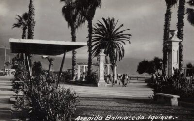 Plazas 20