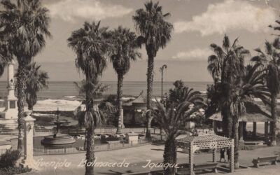 Plazas 6