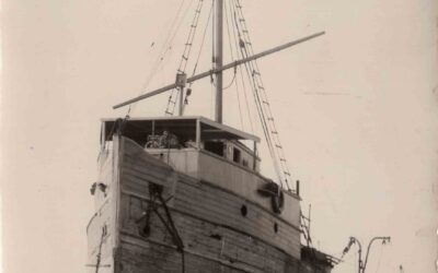 Transporte 13