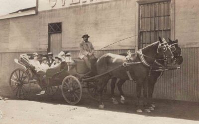 Transporte 16
